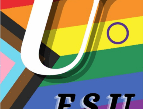 Stage LGBTQIA+ – Mardi 17 mars à Rouen
