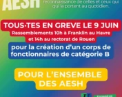 aesh41