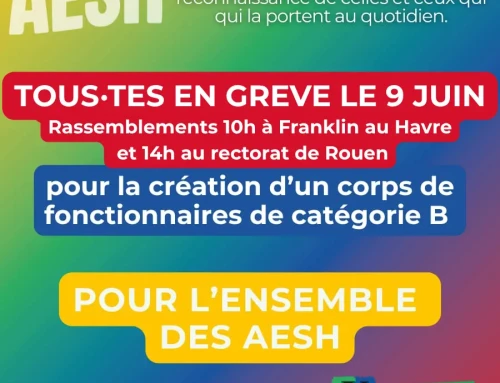Un statut pour les AESH, c’est le moment !