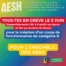 aesh41